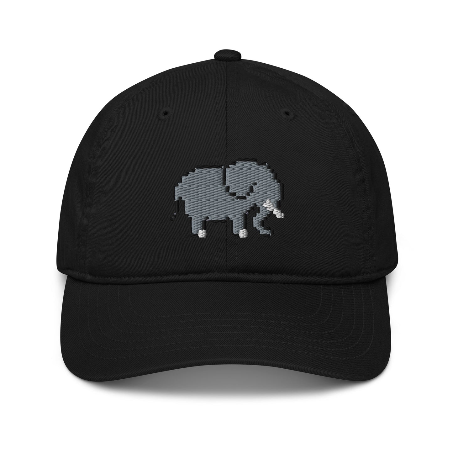 Organic Elephant Hat