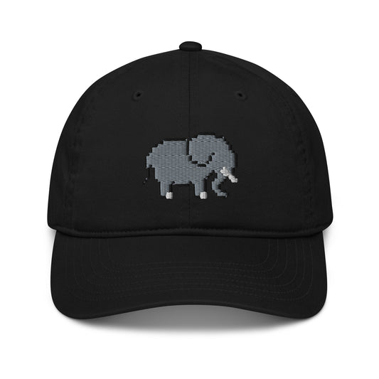 Organic Elephant Hat